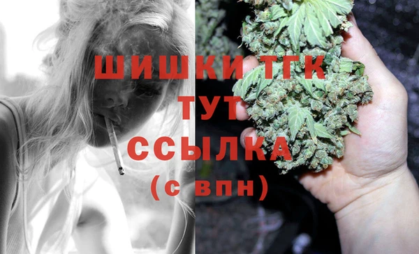 крисы Верея