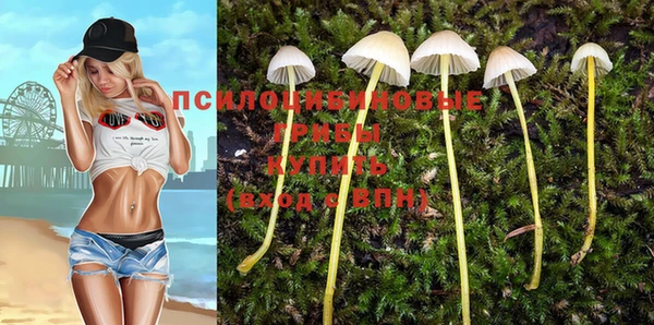 винт Пересвет