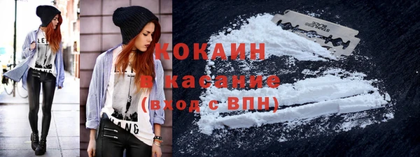 крисы Верея