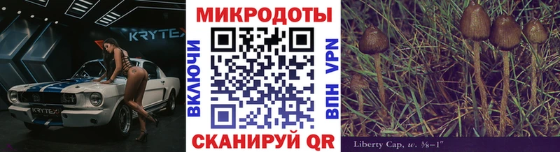 darknet телеграм  Ворсма  Псилоцибиновые грибы MAGIC MUSHROOMS 